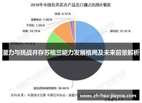 潜力与挑战并存苏格兰能力发展格局及未来前景解析